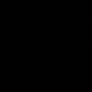 Meet your Posher, Jaela